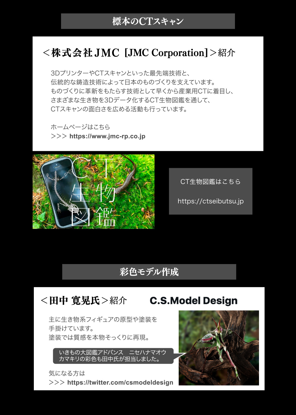 標本のCTスキャン 株式会社JMC　CT生物図鑑　彩色モデル 田中寛晃氏(C.S.Model Design)