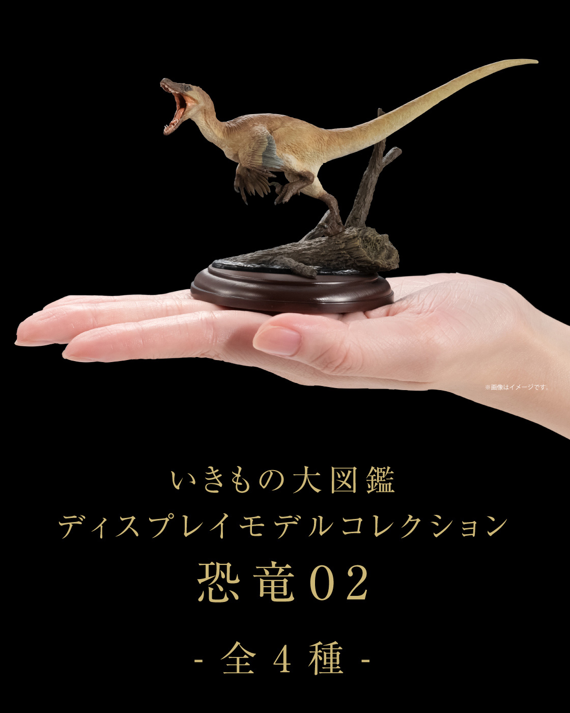 いきもの大図鑑ディスプレイモデルコレクション 恐竜02 -全4種-
