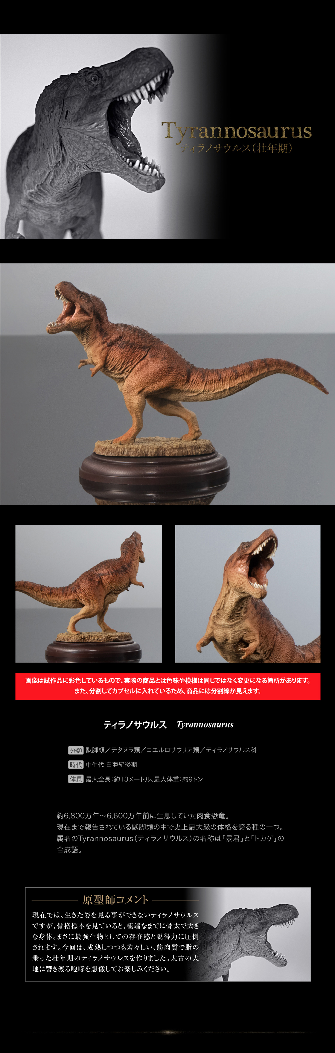 ティラノザウルス（壮年期）
