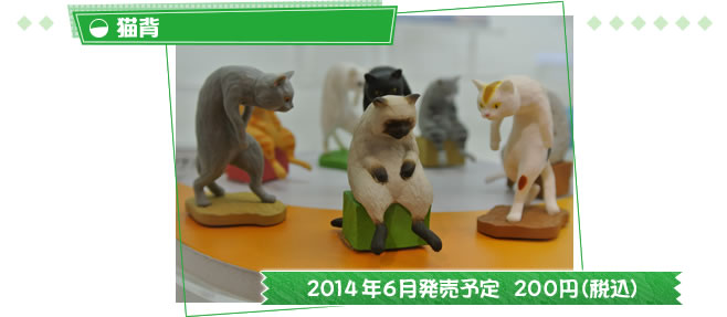 猫背