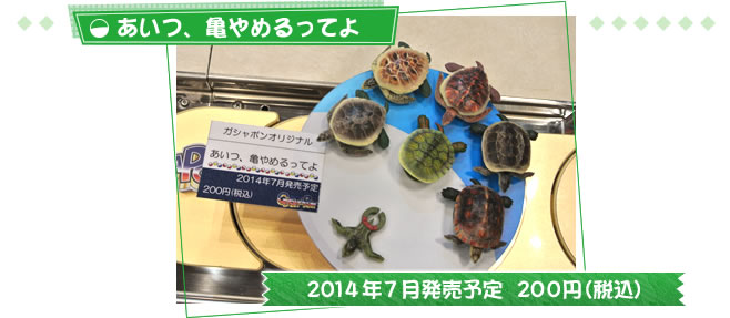 あいつ、亀やめるってよ