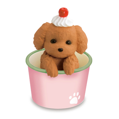 トイカップードル