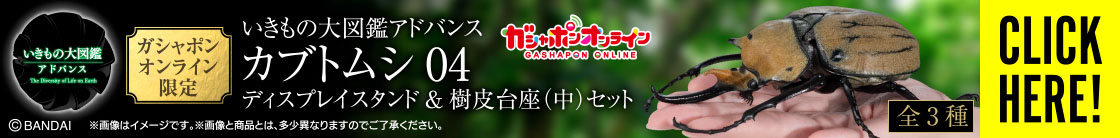 いきもの大図鑑アドバンス カブトムシ04 樹皮台座（中）セット