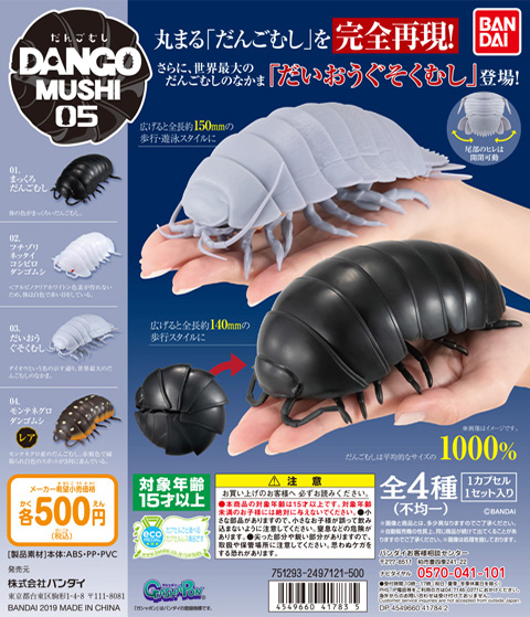 だんごむし05 だんごむしとだいおうぐそくむし