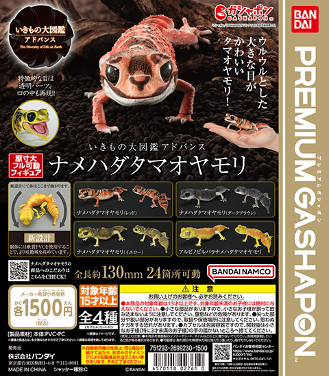 いきもの大図鑑アドバンス ナメハダタマオヤモリ