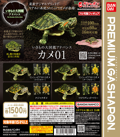 いきもの大図鑑アドバンス カメ01