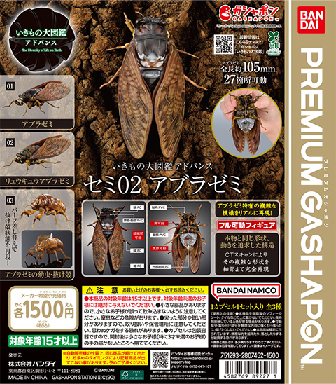 いきもの大図鑑アドバンス<br>セミ02 アブラゼミ