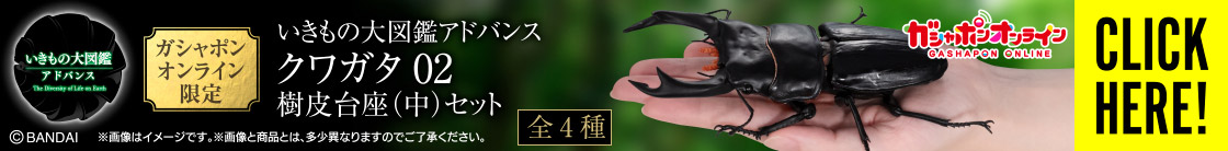 いきもの大図鑑アドバンス クワガタ02
