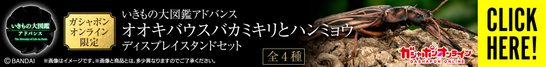 いきもの大図鑑アドバンス オオキバウスバカミキリとハンミョウ ディスプレイスタンドセット