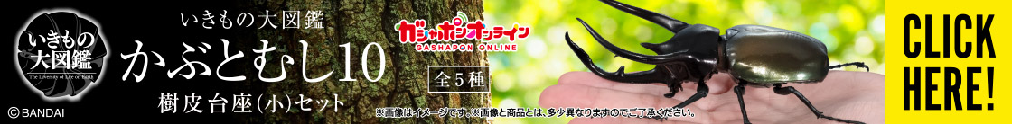 いきもの大図鑑 かぶとむし10