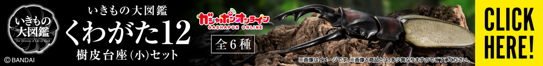 いきもの大図鑑 くわがた12 樹皮台座（小）セット