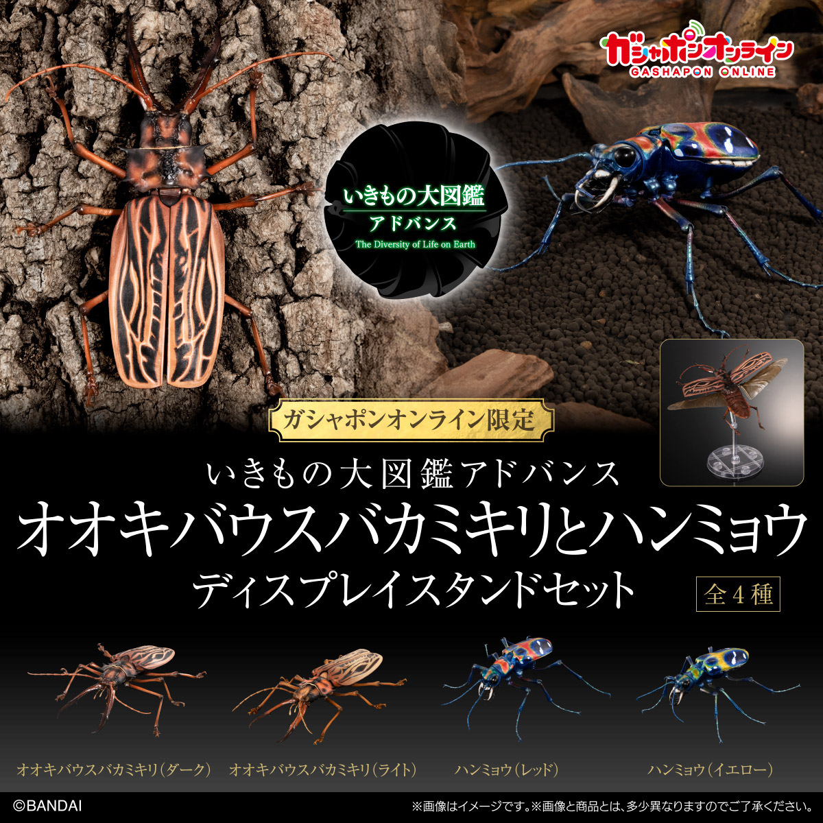 いきもの大図鑑アドバンス<br>オオキバウスバカミキリとハンミョウ<br>ディスプレイスタンドセット