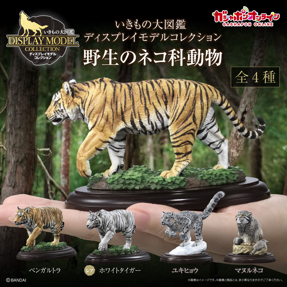 いきもの大図鑑ディスプレイモデルコレクション<br>野生のネコ科動物