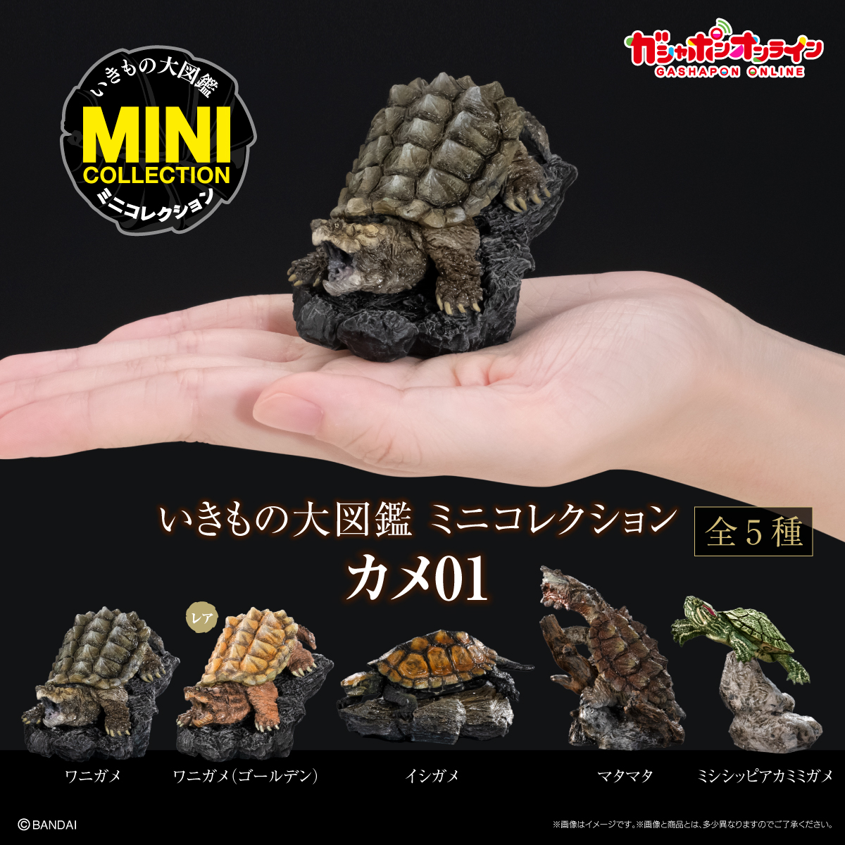 いきもの大図鑑ミニコレクション<br>カメ01