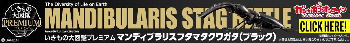 いきもの大図鑑プレミアム マンディブラリスフタマタクワガタ(ブラック)