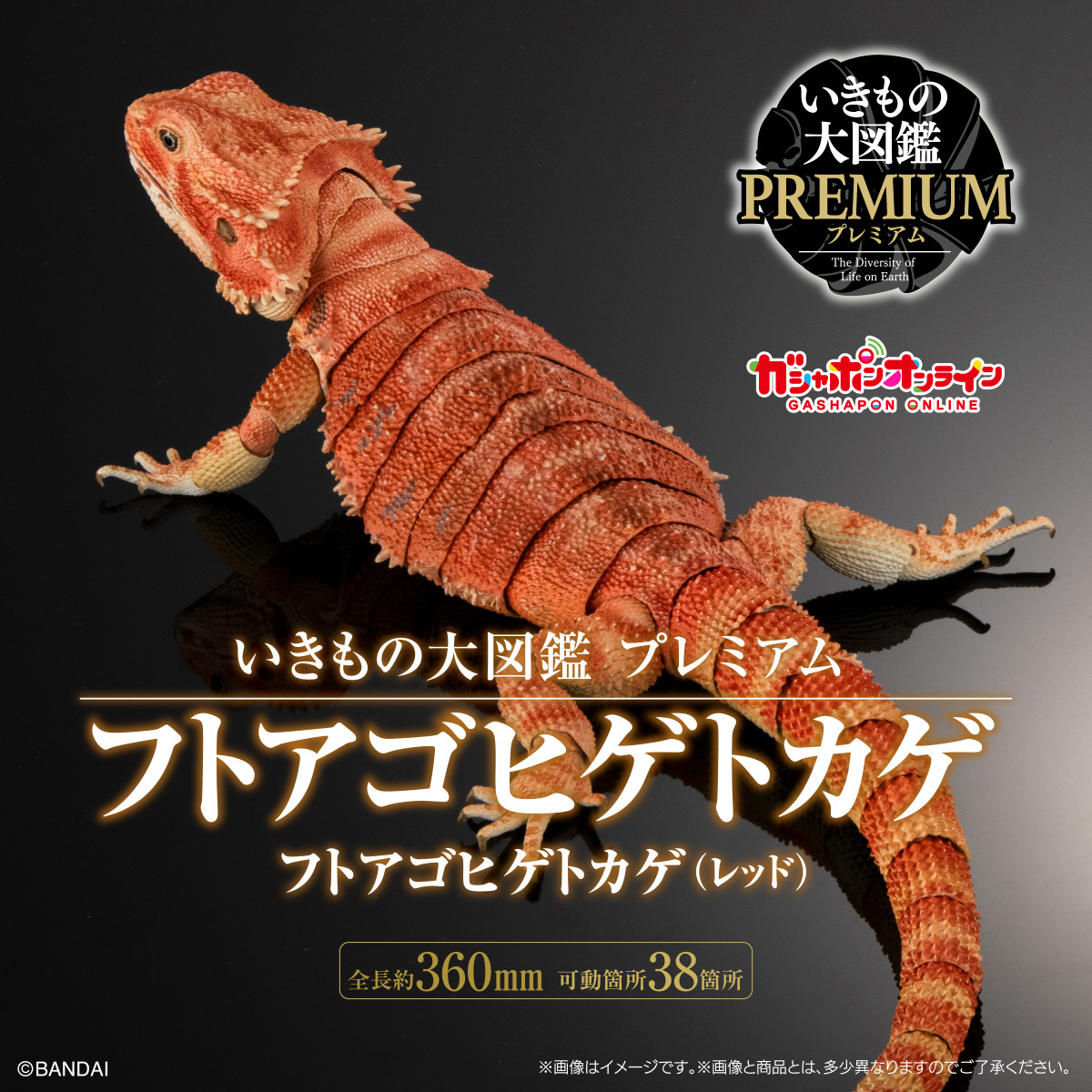 いきもの大図鑑プレミアム<br>フトアゴヒゲトカゲ（レッド）
