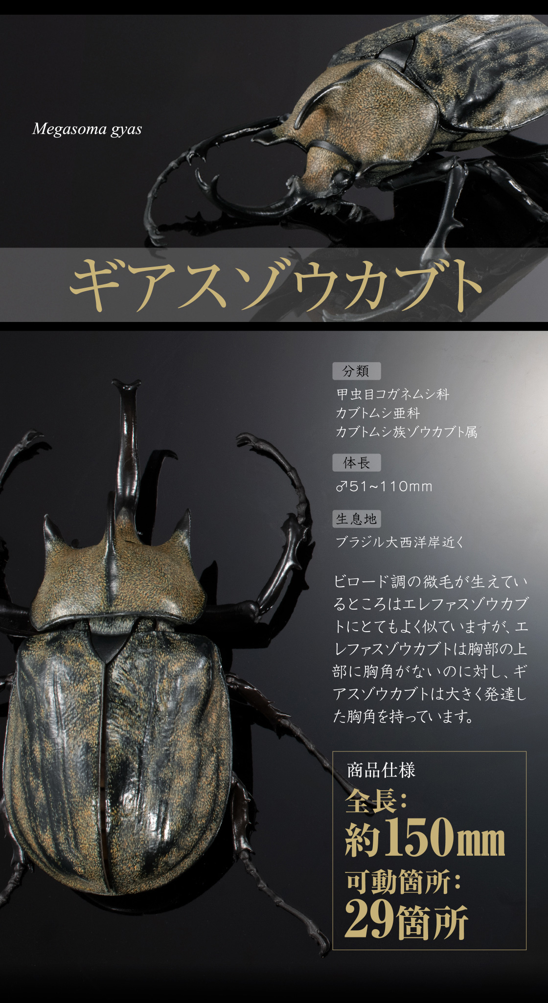 ギアスゾウカブト 全長：約150mm 可動箇所：29箇所