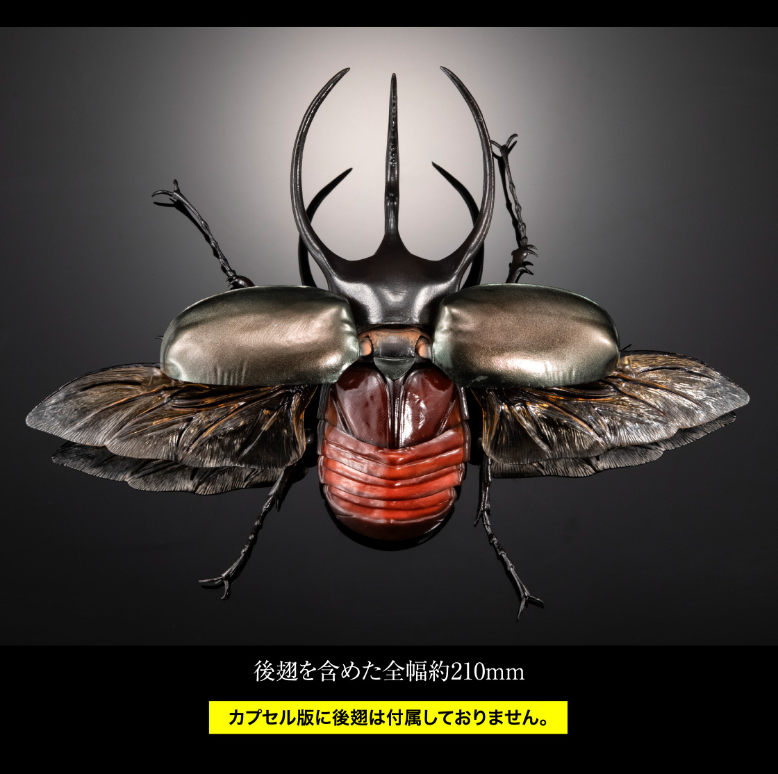 後肢を含めた全幅約210mm