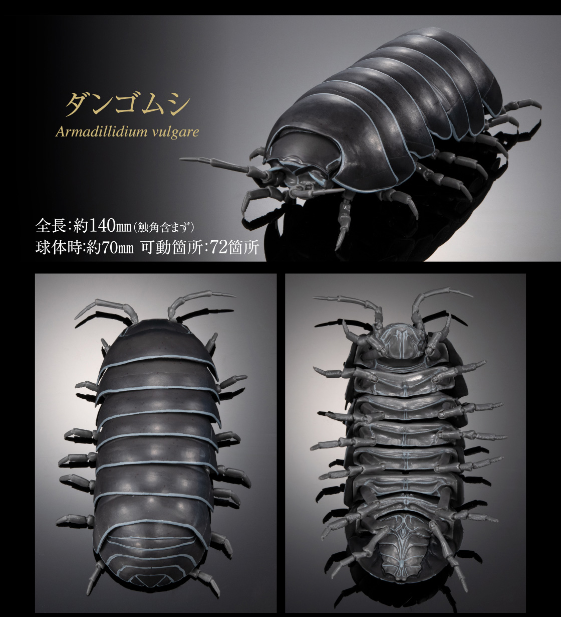 ダンゴムシ 全長：約140mm（触角含まず） 球体時：約70mm 可動箇所：72箇所