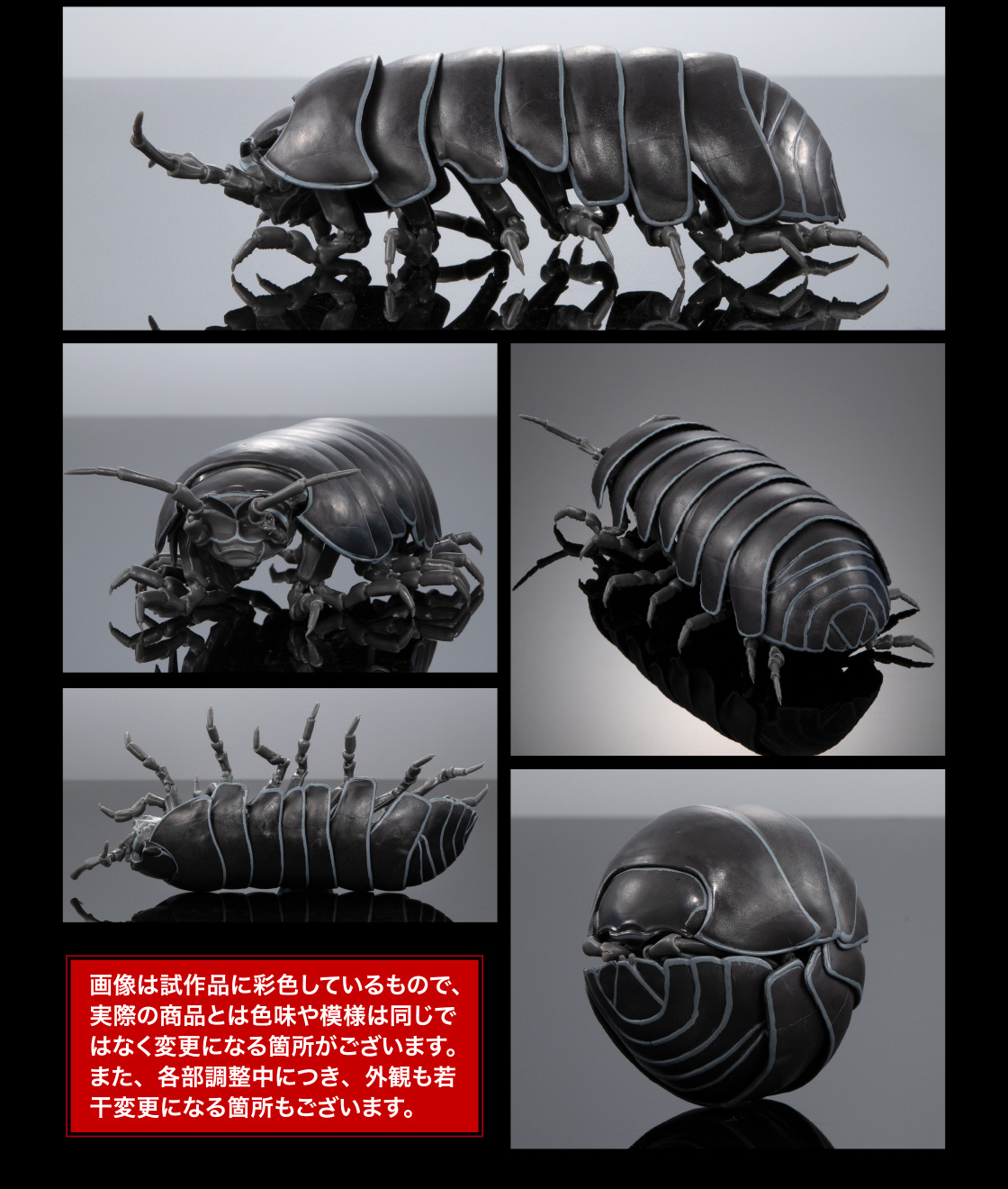 ダンゴムシ 画像は試作品に彩色しているもので、実際の商品とは色味や模様は同じではなく変更になる箇所がございます。また、各部調整中につき、外観も若干変更になる箇所もございます。
