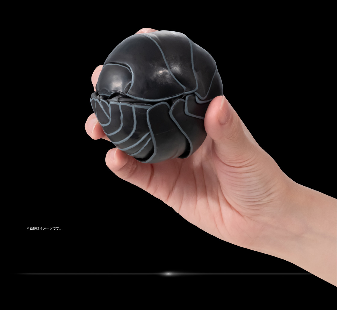 ダンゴムシ ※画像はイメージです。