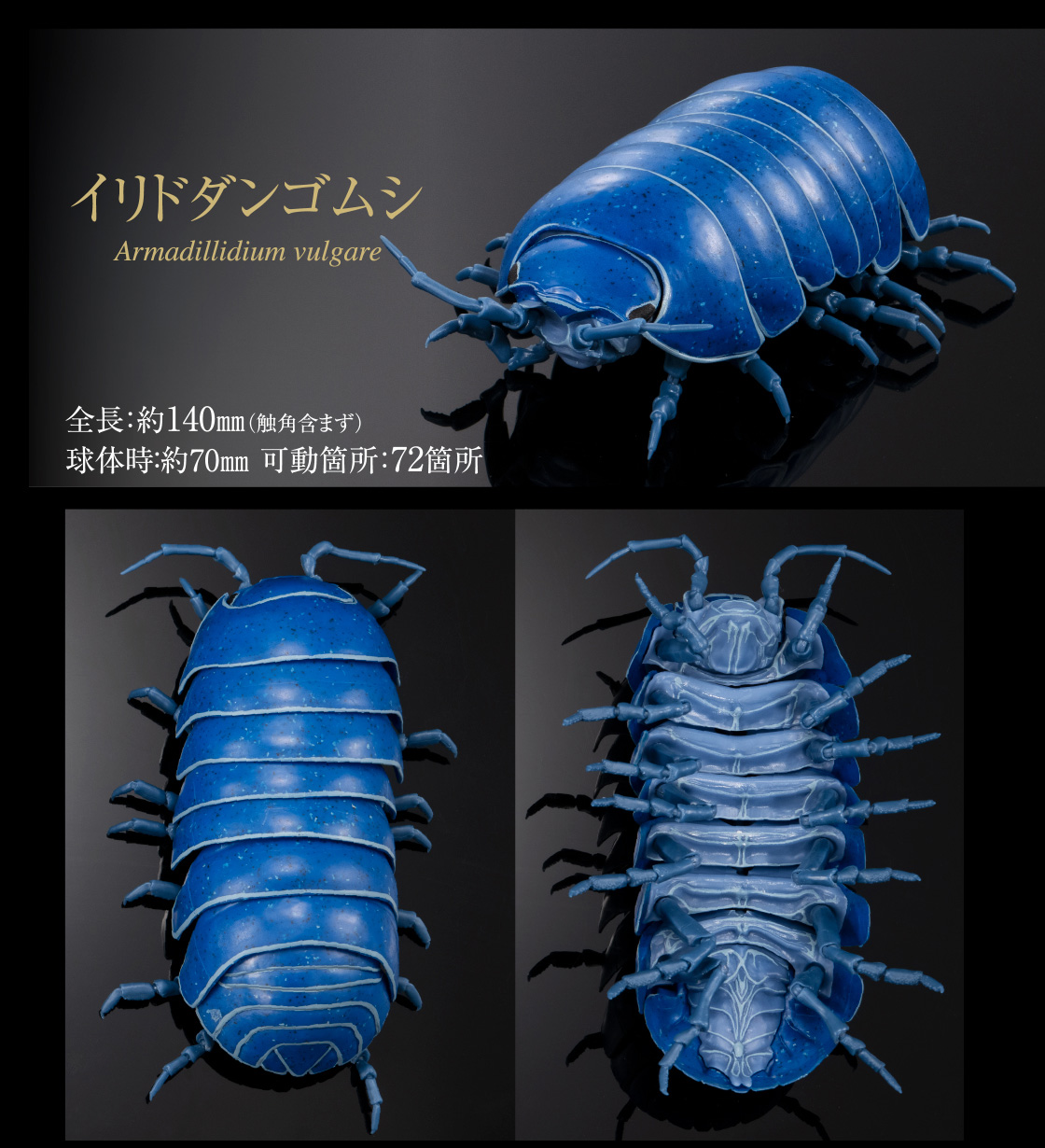 イリドダンゴムシ 全長：約140mm（触角含まず） 球体時：約70mm 可動箇所：72箇所