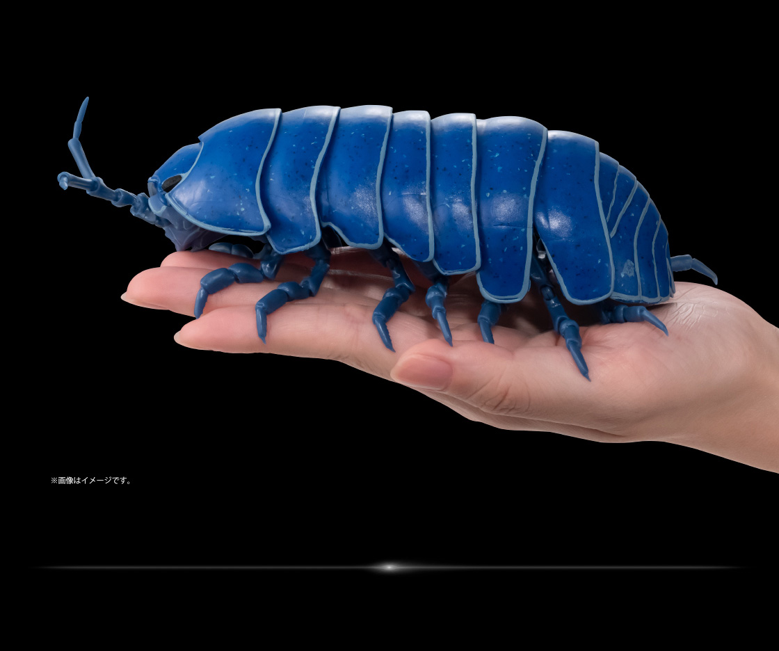 イリドダンゴムシ ※画像はイメージです。