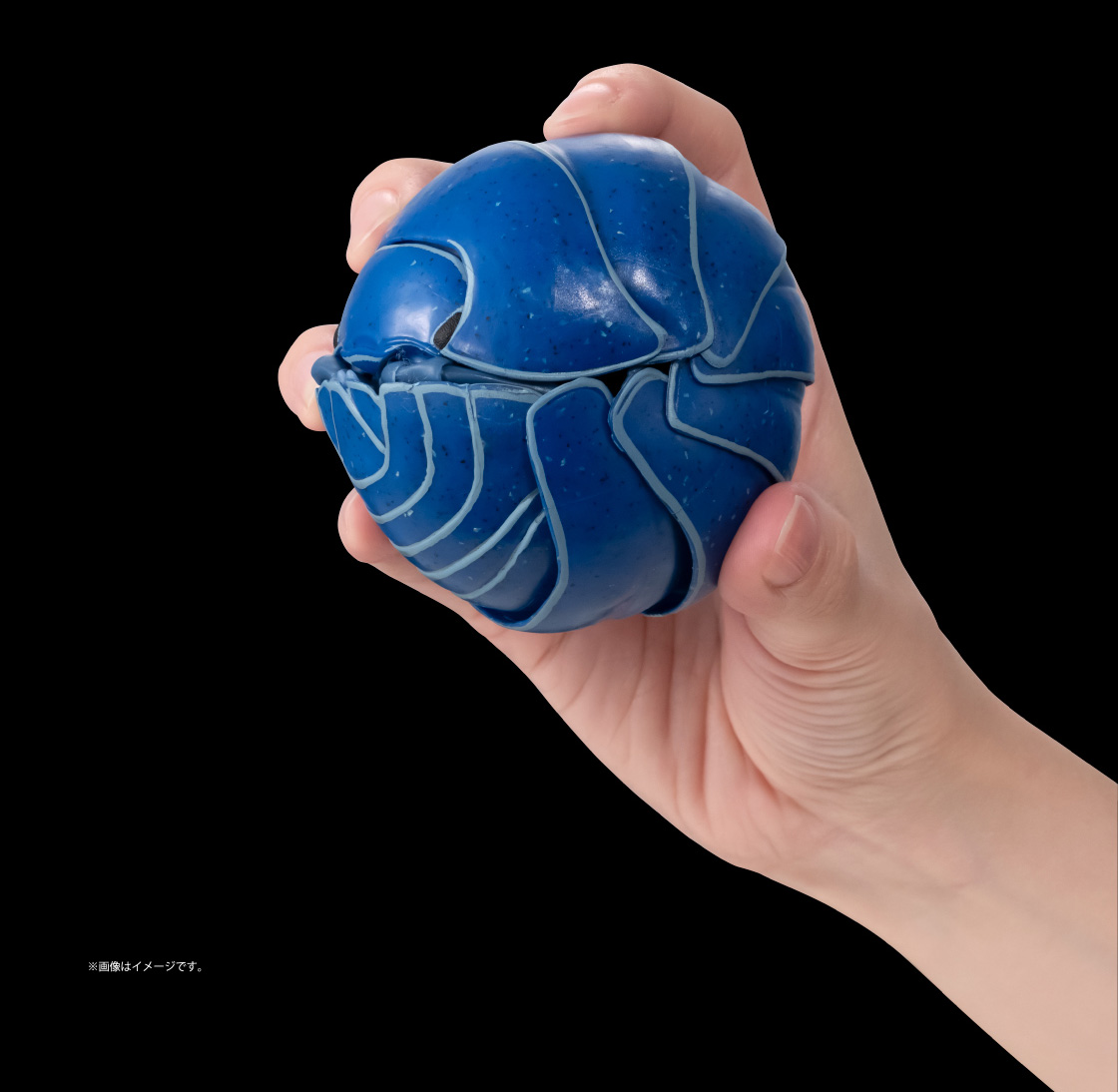 イリドダンゴムシ ※画像はイメージです。