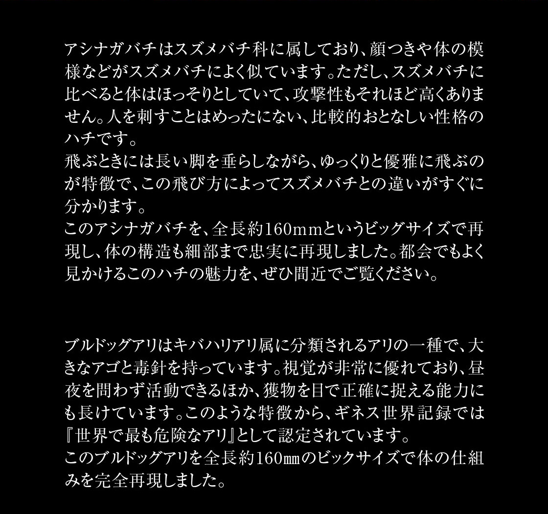 アシナガバチを、全長約160mmというビッグサイズで再現し、体の構造も細部まで忠実に再現しました。都会でもよく見かけるこのハチの魅力を、ぜひ間近でご覧ください。ブルドックアリを全長約160mmのビッグサイズで体の仕組みを完全再現しました。