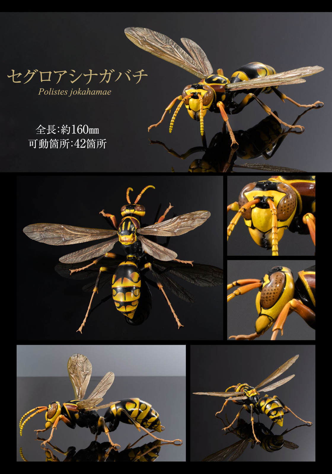 セグロアシナガバチ 全長：約160mm 可動箇所：42箇所