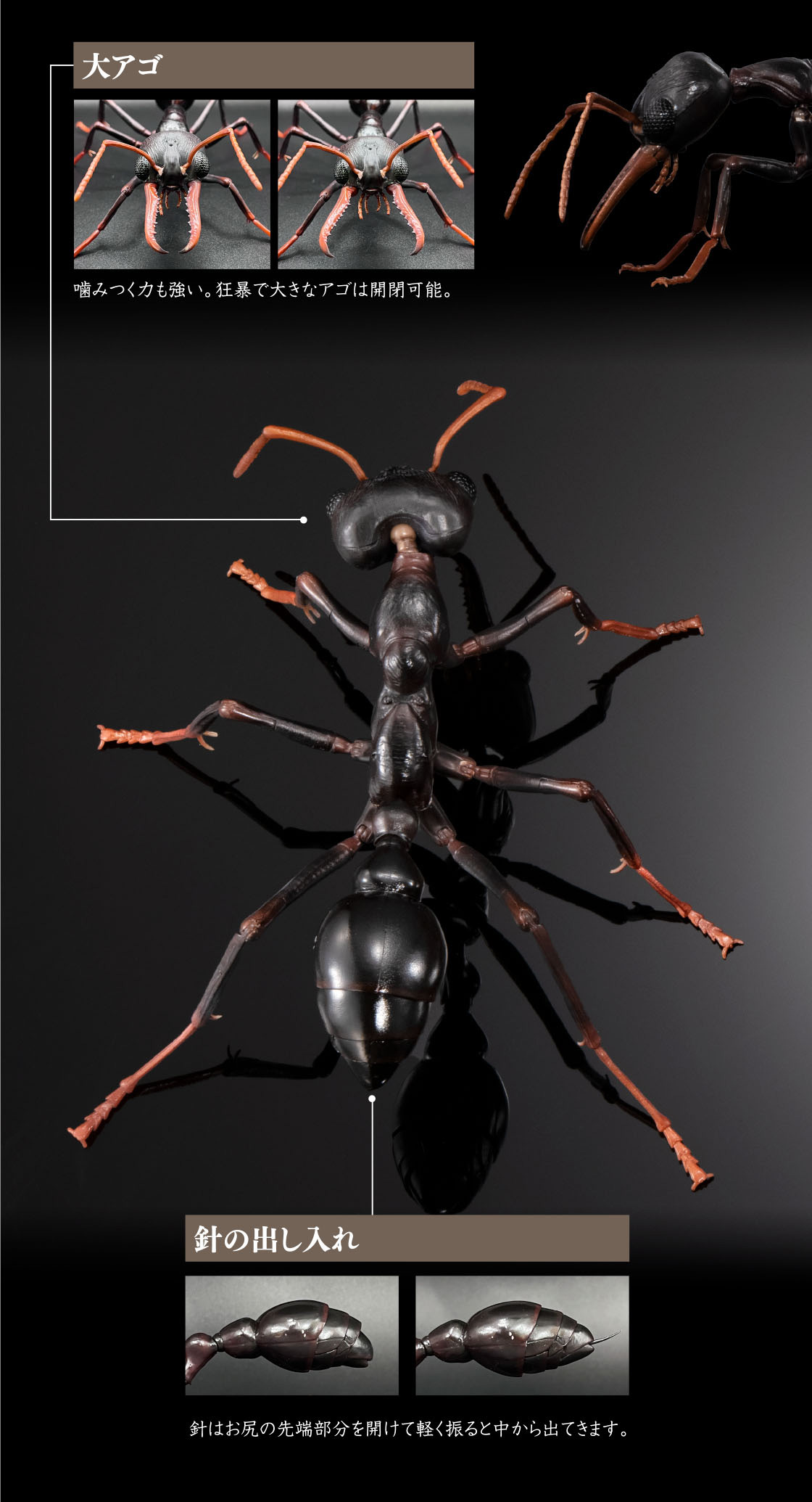 大アゴ 針の出し入れ