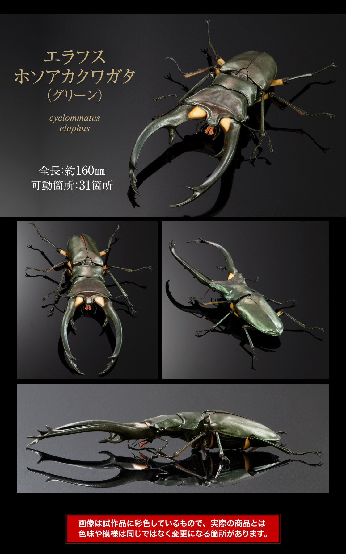 エラフスホソアカクワガタ(グリーン) 全長：約160mm 可動箇所：31箇所
