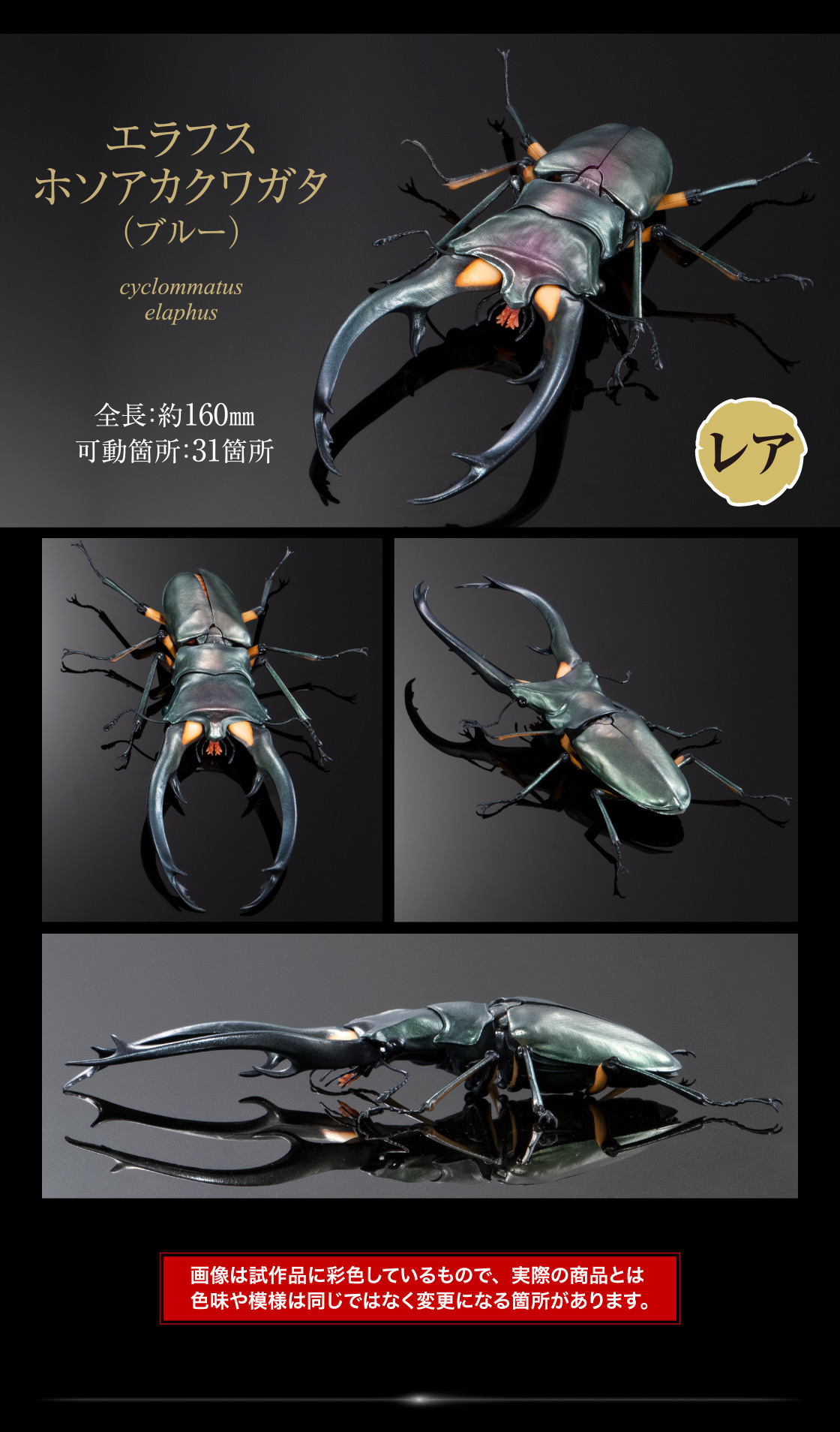 エラフスホソアカクワガタ(ブルー) レア 全長：約160mm 可動箇所：31箇所