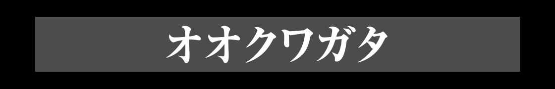 オオクワガタ