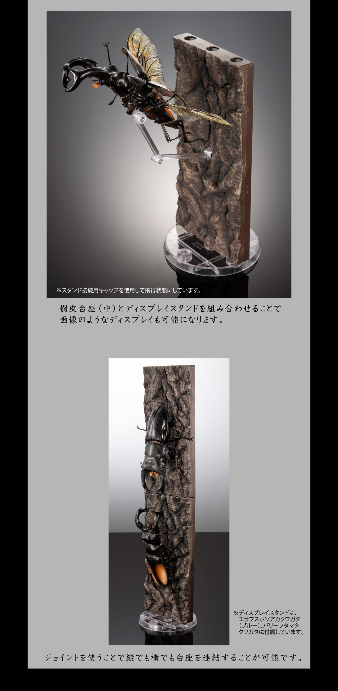 樹皮台座(中)とディスプレイスタンドを組み合わせることで画像のようなディスプレイも可能となります。ジョイントを使うことで縦でも横でも台座を連結することが可能です。