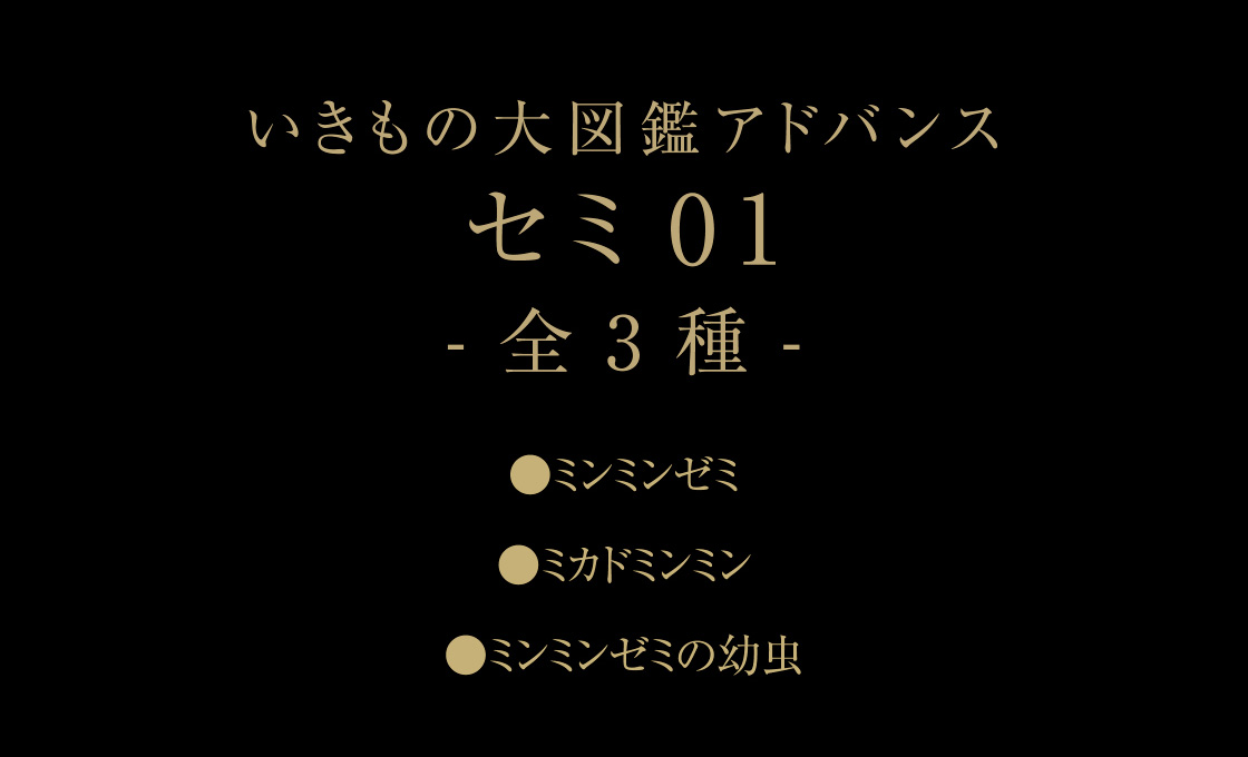 いきもの大図鑑アドバンス セミ01 -全3種-