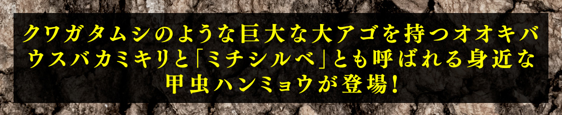 クワガタムシのような巨大な大アゴを持つオオキバウスバカミキリと「ミチシルベ」とも呼ばれる身近な甲虫ハンミョウが登場！