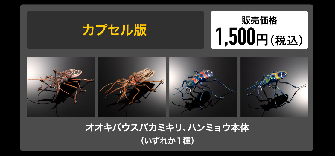 カプセル版 1,500円