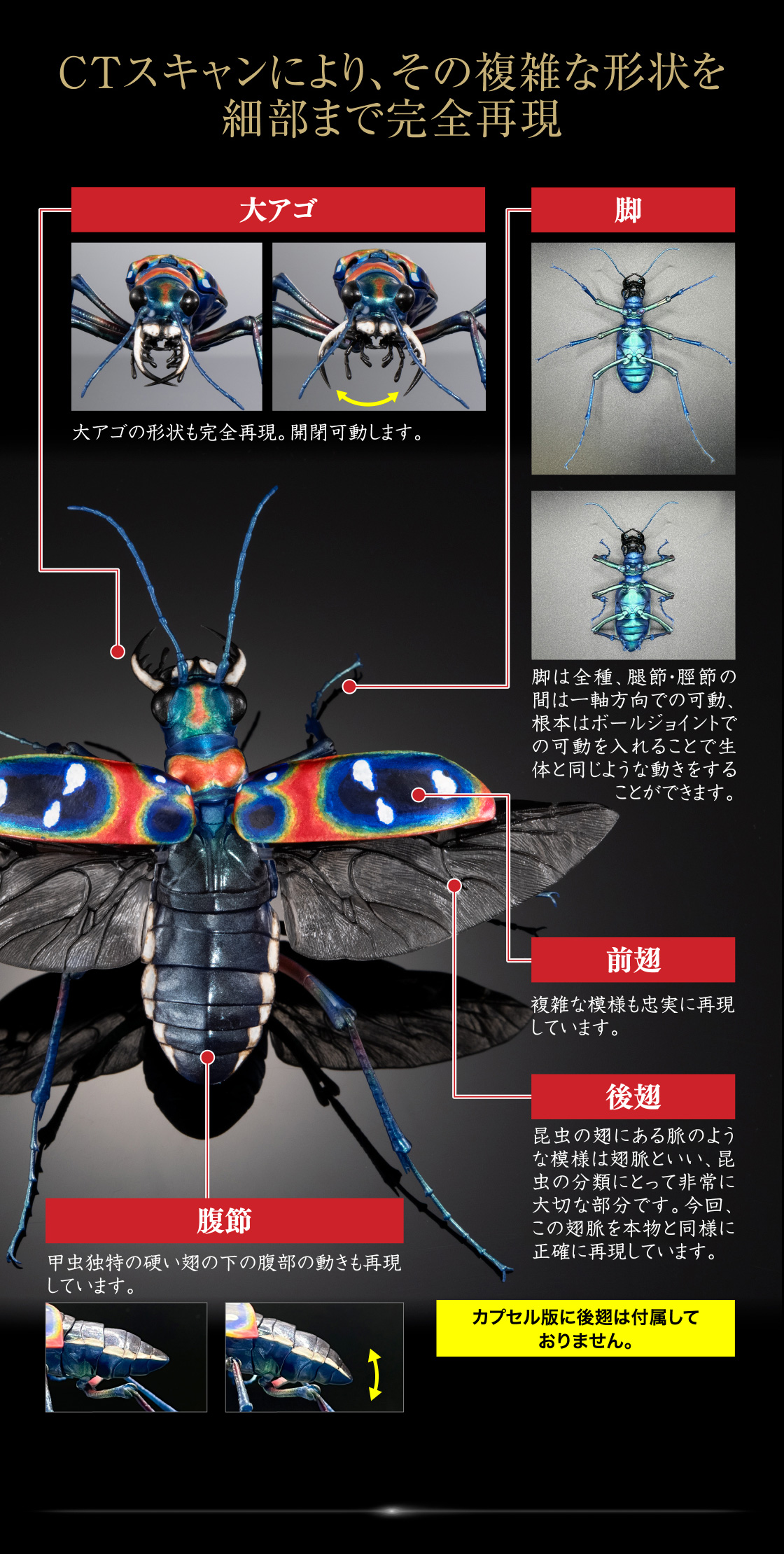 CTスキャンにより、その複雑な形状を細部まで完全再現 大アゴ、脚、前翅、後翅、腹節