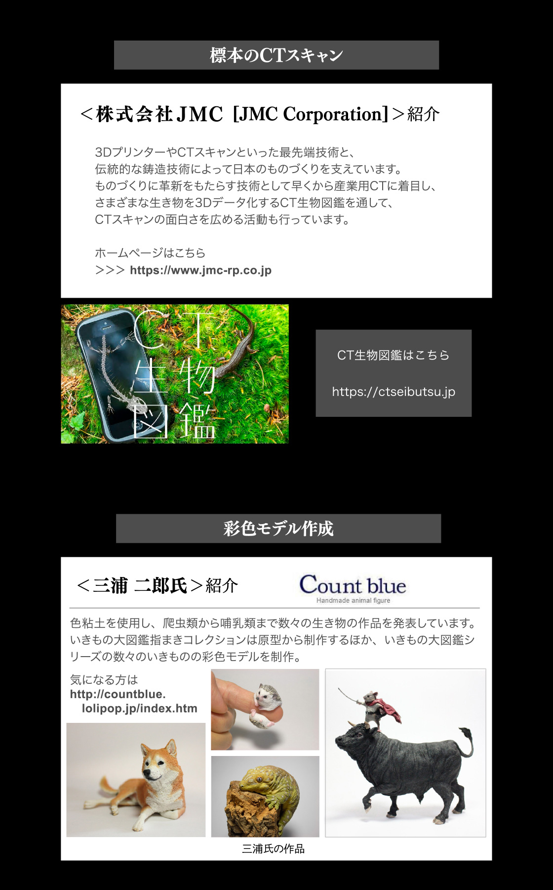 標本のCTスキャン：株式会社JMC　CT生物図鑑はこちら　彩色モデル作成：三浦二郎氏(Count Blue)