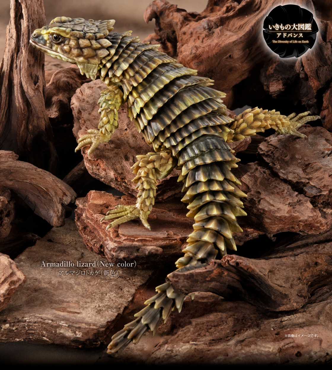 いきもの大図鑑アドバンス SELECTED EDITION 02