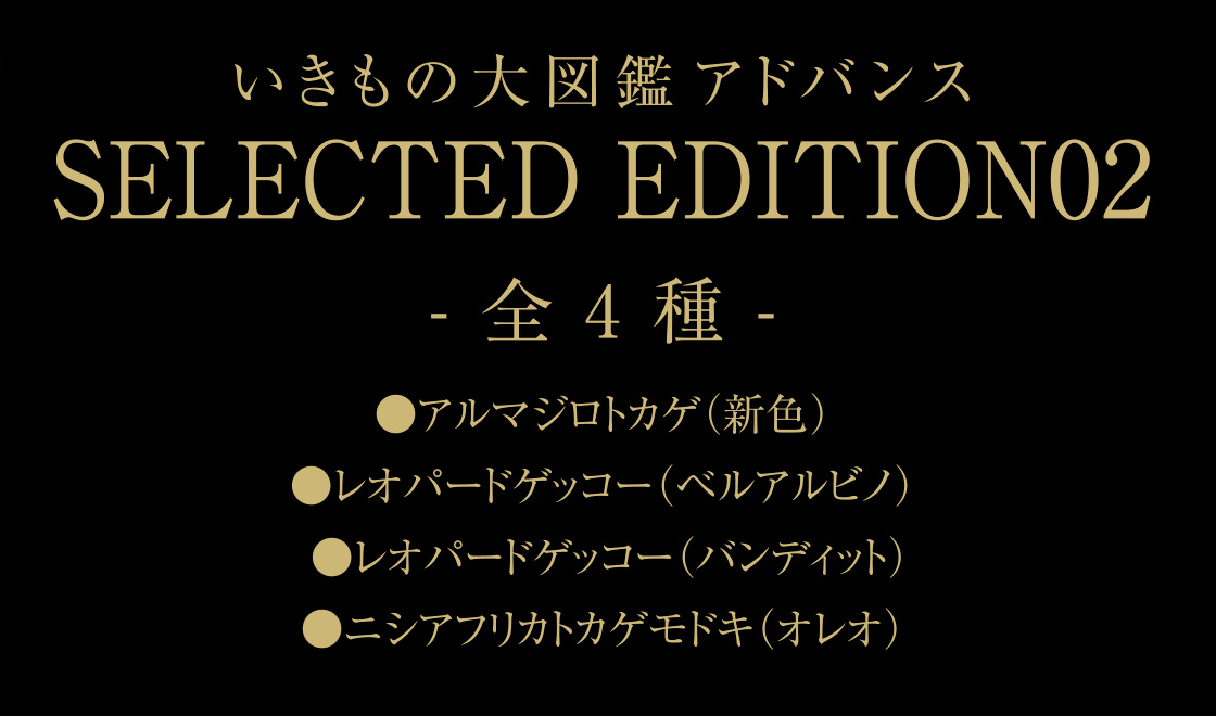 いきもの大図鑑アドバンス SELECTED EDITION 02 -全4種- ●アルマジロトカゲ(新色) ●レオパードゲッコー(ベルアルビノ) ●レオパードゲッコー(バンディット) ●ニシアフリカトカゲモドキ(オレオ)