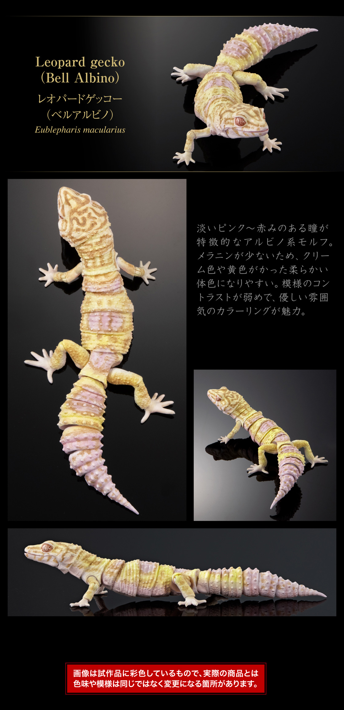 レオパードゲッコー(ベルアルビノ)