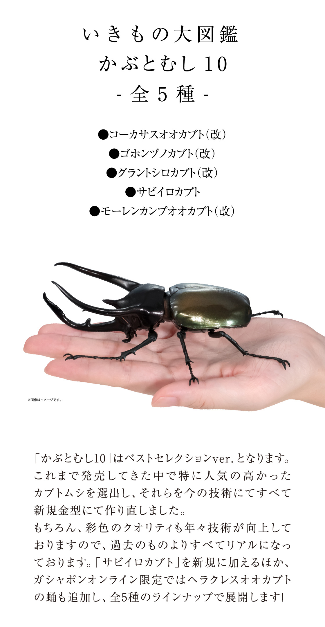 いきもの大図鑑 かぶとむし10 -全5種- ●コーカサスオオカブト(改) ●ゴホンヅノカブト(改) ●グラントシロカブト(改) ●サビイロカブト ●モーレンカンプオオカブト(改)