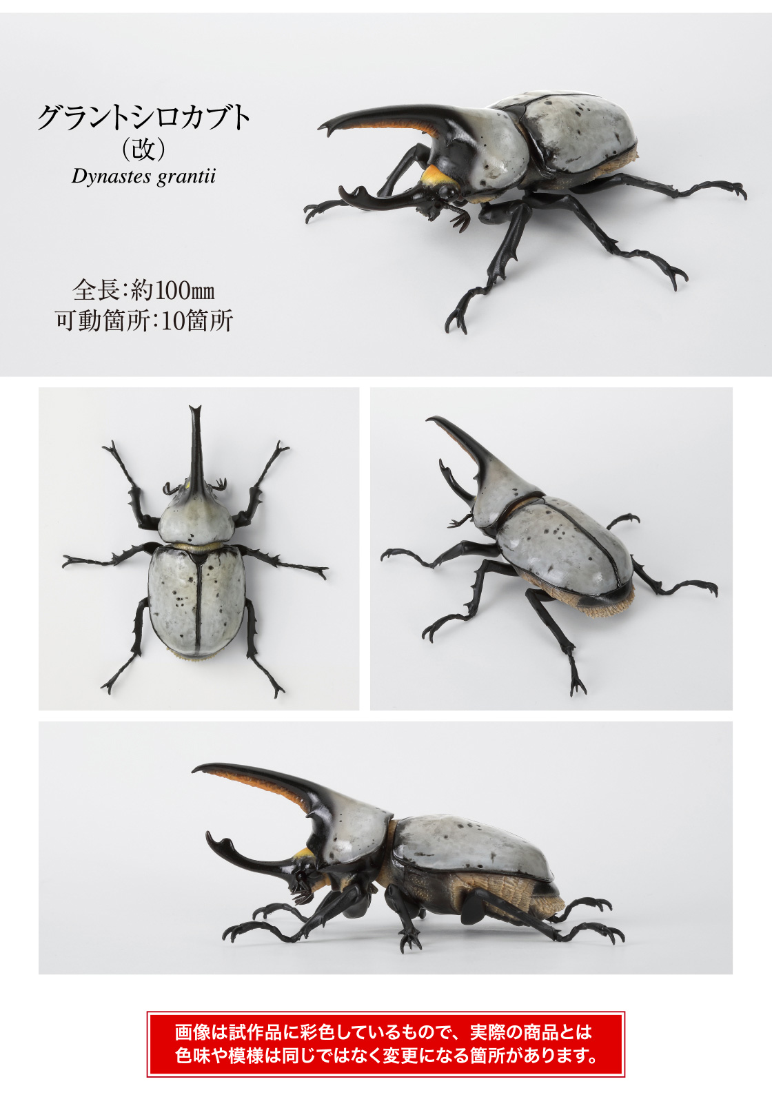 グラントシロカブト(改) 全長:約100mm 可動箇所:10箇所
