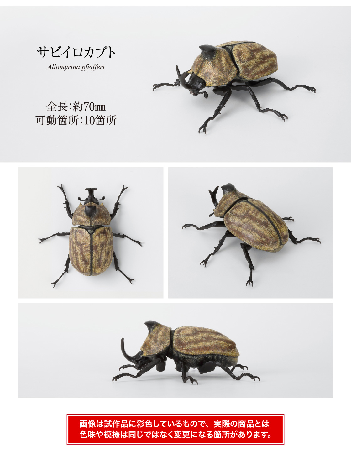 サビイロカブト 全長:約70mm 可動箇所:10箇所