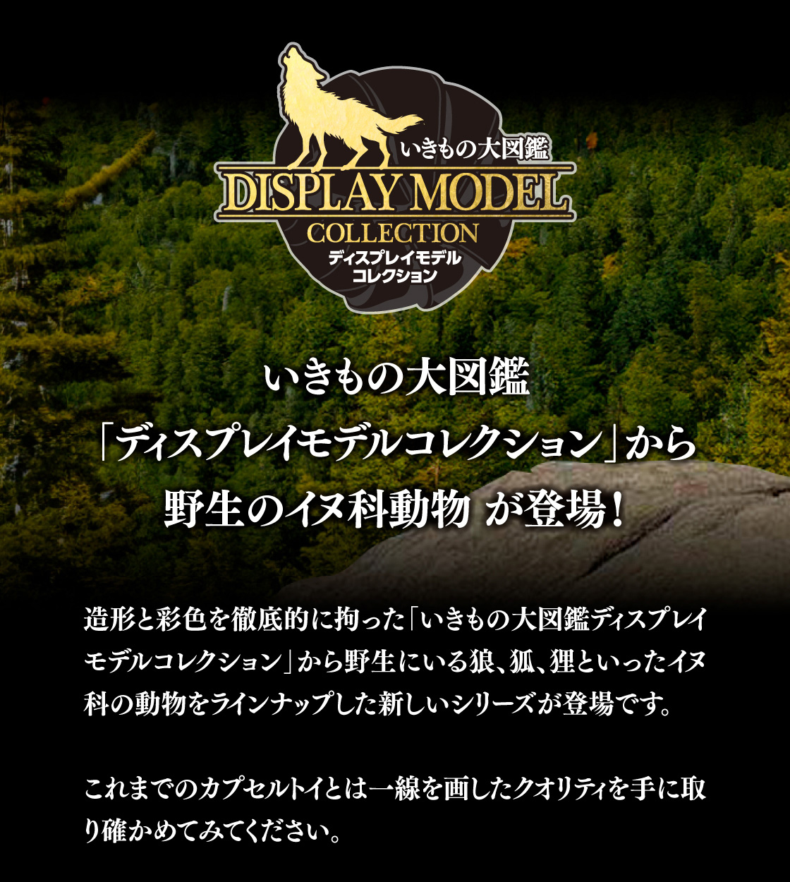いきもの大図鑑「ディスプレイモデルコレクション」から野生のイヌ科動物 が登場！