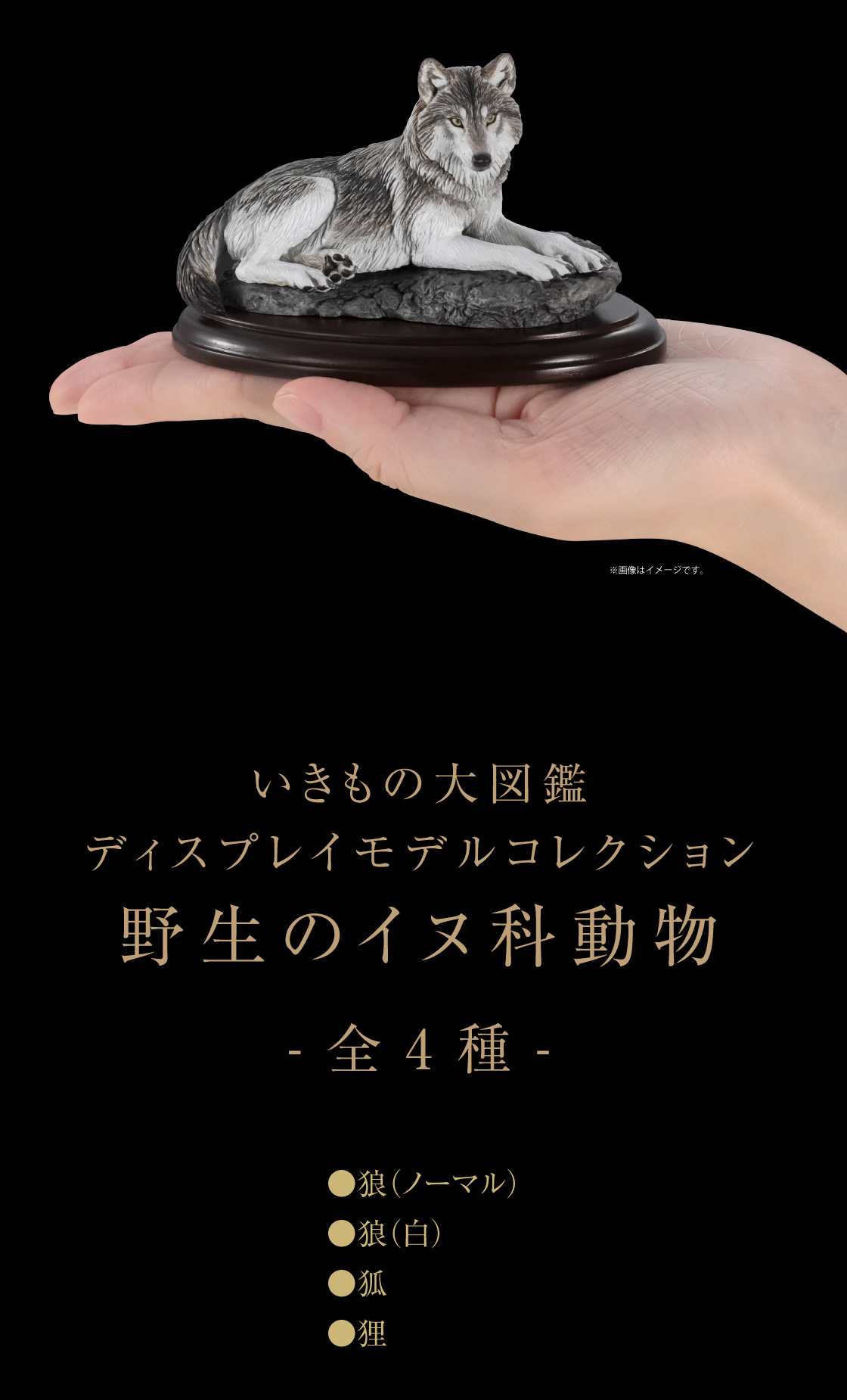 いきもの大図鑑ディスプレイモデルコレクション 野生のイヌ科動物 -全4種- ●狼（ノーマル） ●狼（白） ●狐 ●狸