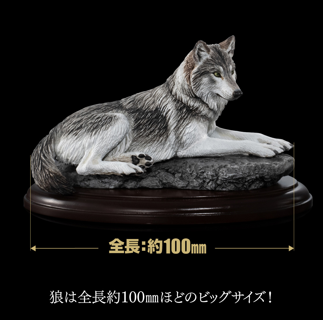 狼は全長約100mmほどのビッグサイズ！