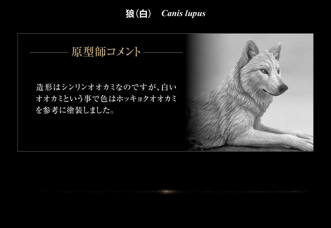 狼（白） 原型師コメント